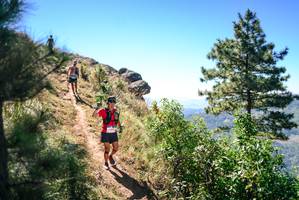 BIB: 
                            <button type="button" onclick="openModal(26602969)" class="btn btn-primary btn-sm float-right btn-popup" data-toggle="modal" data-target=".modal-high-quality">
                        <i class="fas fa-shopping-cart"></i> Add to Cart
                    </button>
                                            <button type="button" onclick="isThisMe(26602969, true)" class="btn btn-success btn-sm float-right btn-popup btn-isme hidden" data-toggle="tooltip" data-placement="bottom" title="นี่คือรูปของคุณใช่ไหม คลิกที่นี่เพื่อเอาเข้าอัลบั้ม">
                        <i class="fas fa-plus"></i> Add to album
                    </button>
                    <button type="button" onclick="isThisMe(26602969, false)" class="btn btn-warning btn-sm float-right btn-popup btn-isnotme hidden">
                        <i class="fas fa-ban"></i> Remove from album
                    </button>